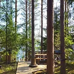 Quiet Lakeside Forest Escape *