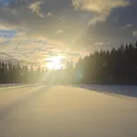 Quiet Lakeside Forest Escape Imatra