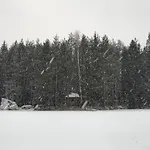 Quiet Lakeside Forest Escape *