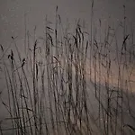 Quiet Lakeside Forest Escape Chalet
