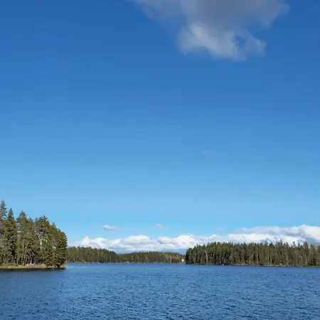 Quiet Lakeside Forest Escape *