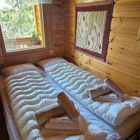 Quiet Lakeside Forest Escape Imatra