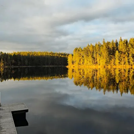 Quiet Lakeside Forest Escape *