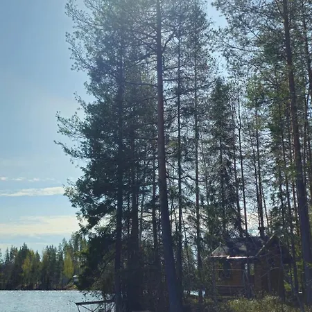 Quiet Lakeside Forest Escape *