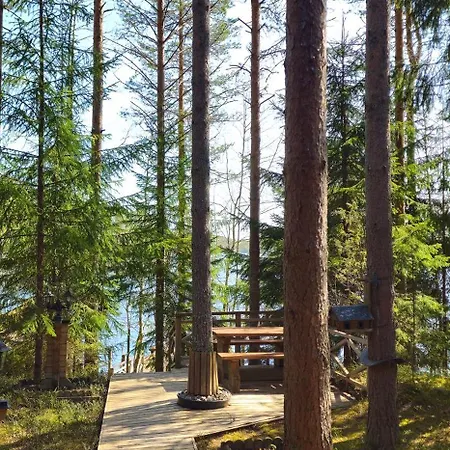 Quiet Lakeside Forest Escape *