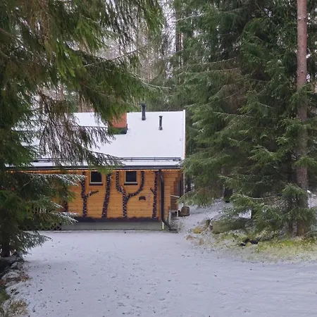 Dağ evi Quiet Lakeside Forest Escape Imatra