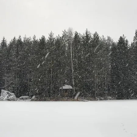 Quiet Lakeside Forest Escape *