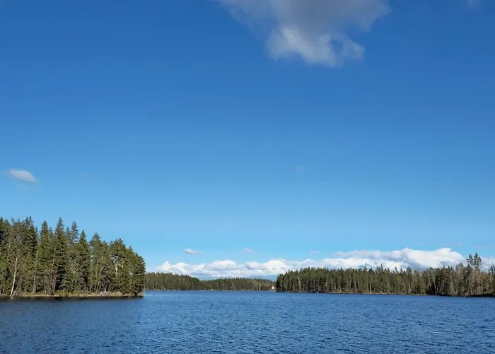 Quiet Lakeside Forest Escape *