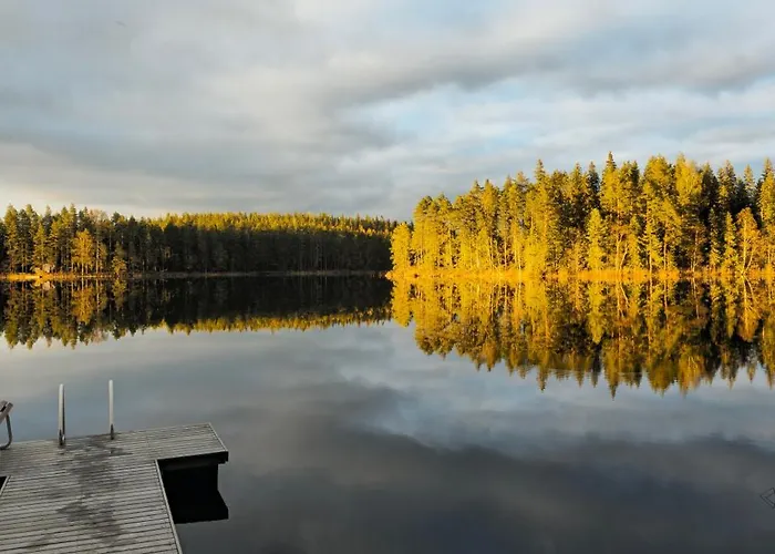 Quiet Lakeside Forest Escape *