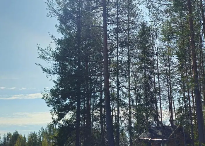 Quiet Lakeside Forest Escape *