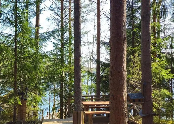 Quiet Lakeside Forest Escape *