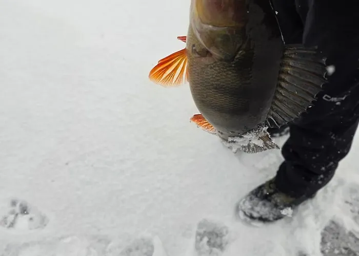 샬레 Quiet Lakeside Forest Escape