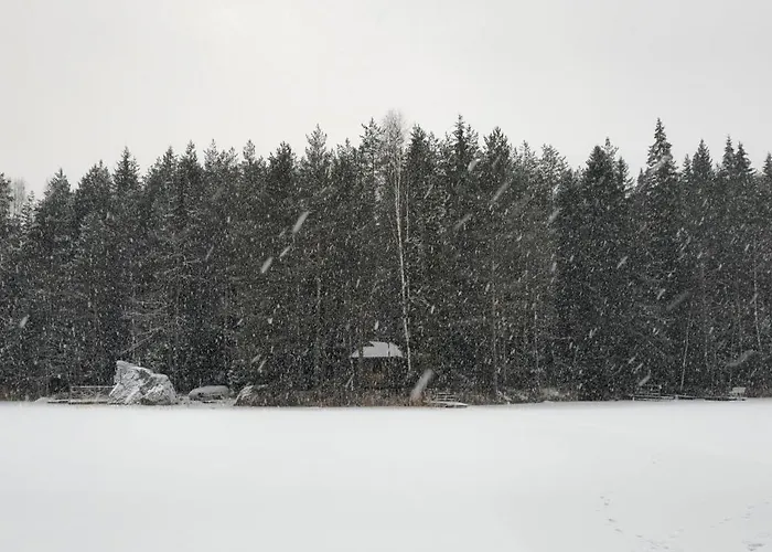 Quiet Lakeside Forest Escape *