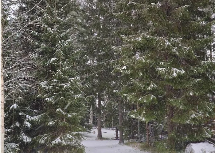 Quiet Lakeside Forest Escape 샬레 이마트라