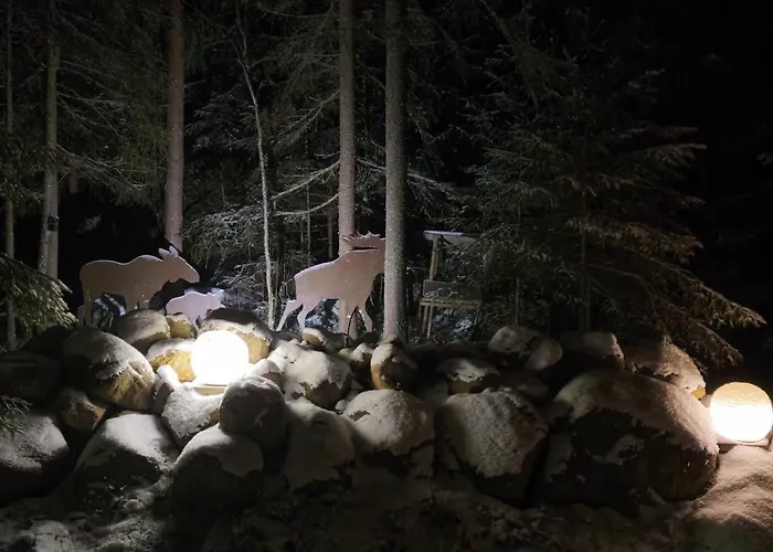 Quiet Lakeside Forest Escape