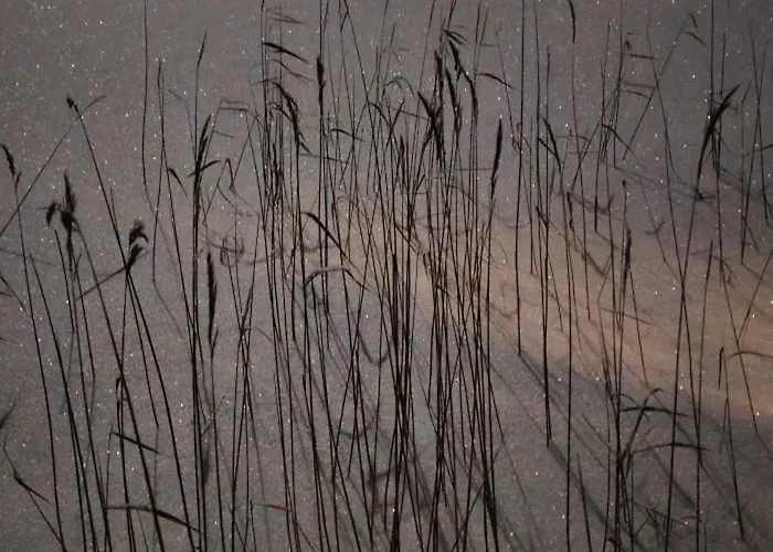 Quiet Lakeside Forest Escape 샬레