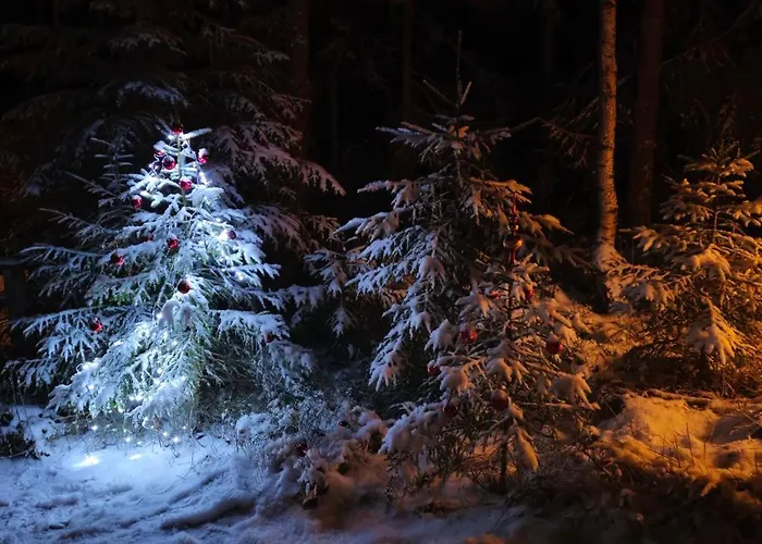 Quiet Lakeside Forest Escape 샬레